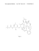 TRANSITION METAL COMPLEXES OF A BIS[THIOHYDRAZIDE AMIDE] COMPOUND diagram and image