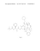 TRANSITION METAL COMPLEXES OF A BIS[THIOHYDRAZIDE AMIDE] COMPOUND diagram and image