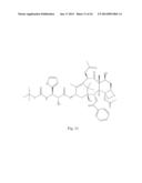 TRANSITION METAL COMPLEXES OF A BIS[THIOHYDRAZIDE AMIDE] COMPOUND diagram and image