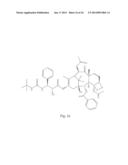 TRANSITION METAL COMPLEXES OF A BIS[THIOHYDRAZIDE AMIDE] COMPOUND diagram and image