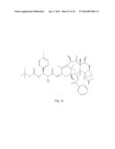 TRANSITION METAL COMPLEXES OF A BIS[THIOHYDRAZIDE AMIDE] COMPOUND diagram and image