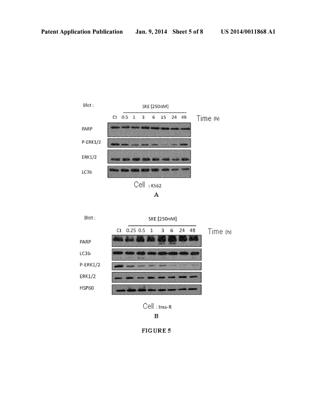 Use of Simalikalactone E as an Anticancer Agent - diagram, schematic, and image 06