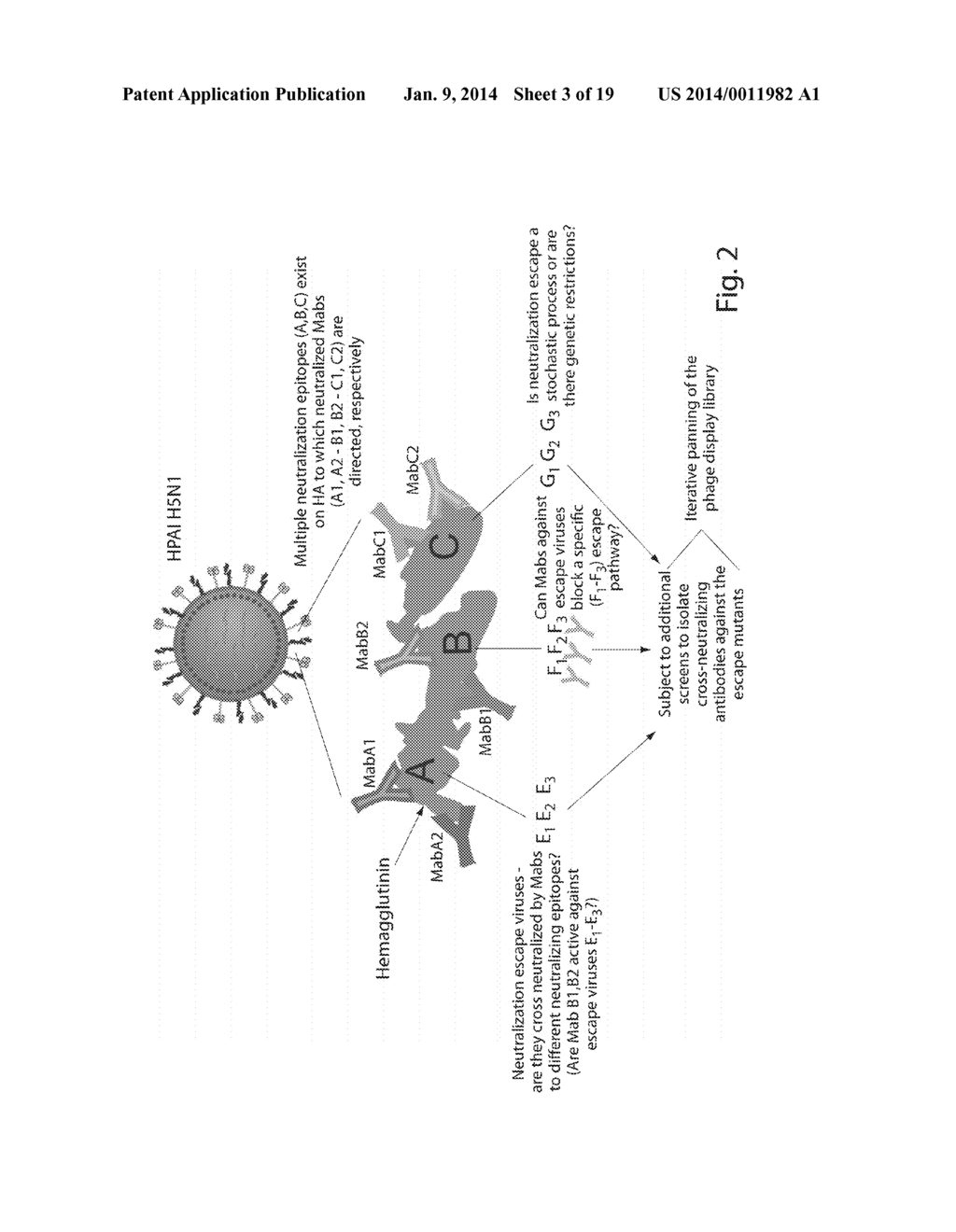 Antibodies Against Influenza Virus and Methods of Use Thereof - diagram, schematic, and image 04