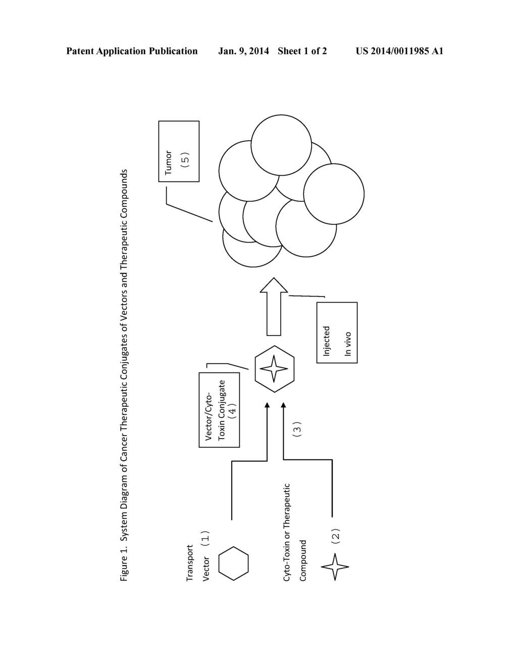 Targeted Cancer Therapy Conjugates Using Porphyrins and Porphyrin-like     Molecules and Various Cytotoxic Agents - diagram, schematic, and image 02