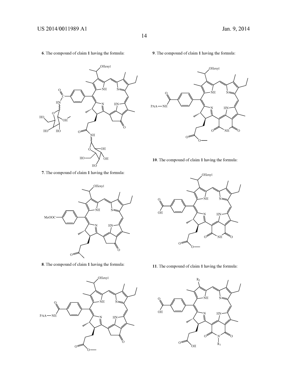 PAA NANOPARTICLES FOR TUMOR TREATMENT AND IMAGING - diagram, schematic, and image 32