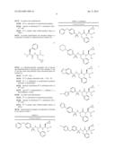 DERIVATIVES OF 1-AMINO-2-CYCLOPROPYLETHYLBORONIC ACID diagram and image