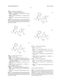 DERIVATIVES OF 1-AMINO-2-CYCLOPROPYLETHYLBORONIC ACID diagram and image