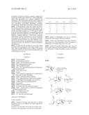 DERIVATIVES OF 1-AMINO-2-CYCLOPROPYLETHYLBORONIC ACID diagram and image