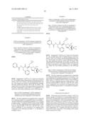 DERIVATIVES OF 1-AMINO-2-CYCLOPROPYLETHYLBORONIC ACID diagram and image