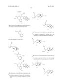 DERIVATIVES OF 1-AMINO-2-CYCLOPROPYLETHYLBORONIC ACID diagram and image