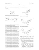 DERIVATIVES OF 1-AMINO-2-CYCLOPROPYLETHYLBORONIC ACID diagram and image