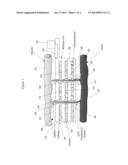 IMPLANTABLE VASCULAR SYSTEM BIOSENSOR WITH GROWN CAPILLARY BEDS AND USES     THEREOF diagram and image