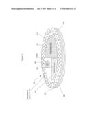 IMPLANTABLE VASCULAR SYSTEM BIOSENSOR WITH GROWN CAPILLARY BEDS AND USES     THEREOF diagram and image