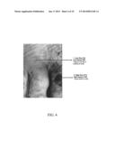 Systems and Methods for Projecting Hyperspectral Images diagram and image