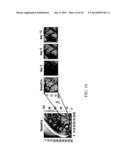 Systems and Methods for Projecting Hyperspectral Images diagram and image