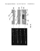 CATHETER DEVICE INCLUDING FLOW SENSING diagram and image