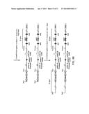 Histidine Engineered Light Chain Antibodies and Genetically Modified     Non-Human Animals for Generating the Same diagram and image