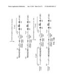 Histidine Engineered Light Chain Antibodies and Genetically Modified     Non-Human Animals for Generating the Same diagram and image