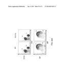 Histidine Engineered Light Chain Antibodies and Genetically Modified     Non-Human Animals for Generating the Same diagram and image