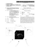 SYSTEM AND METHOD FOR GENERATING AND DISPLAYING A 2D PROJECTION FROM A 3D     OR 4D DATASET diagram and image