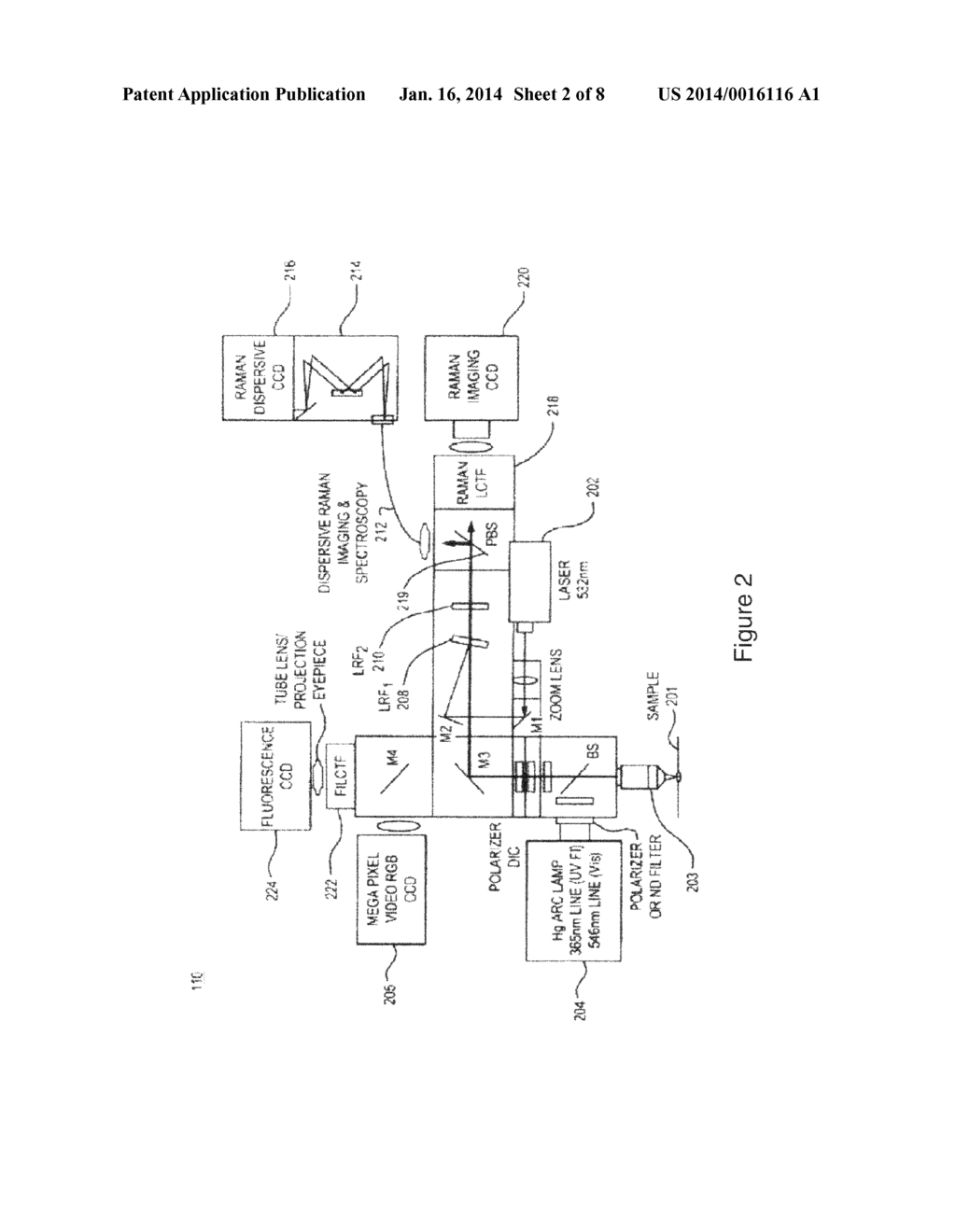 System and method for raman-based chronic exposure detection - diagram, schematic, and image 03