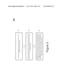 System and method for raman-based chronic exposure detection diagram and image