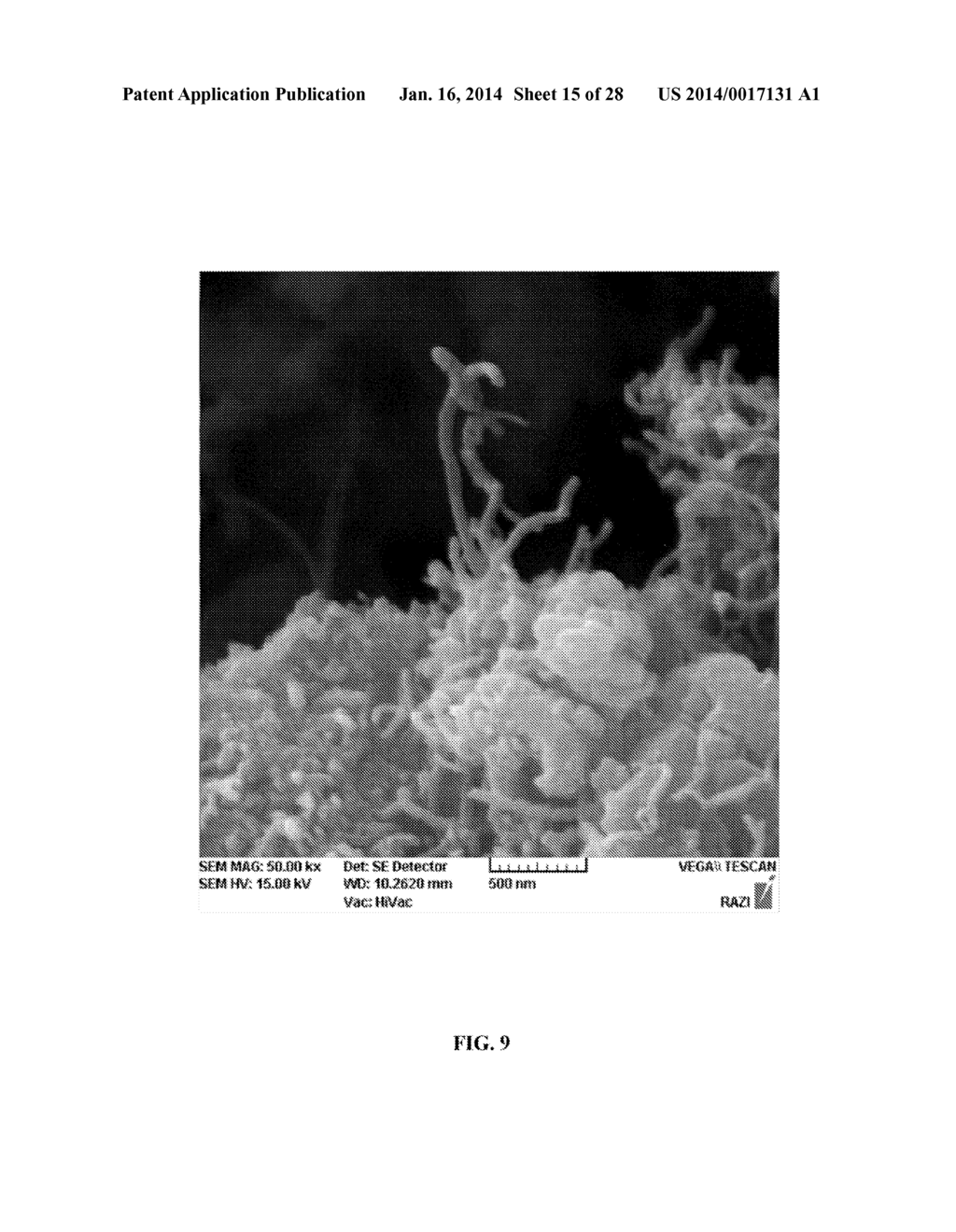 CARBON NANO TUBE INTELLIGENT FILTER FOR ADSORPTION OF POLLUTANTS AND     HYDROCARBONS IN ENVIRONMENT AND RECOVERY TO EXCELLENT INDUSTRIAL CARBON - diagram, schematic, and image 16