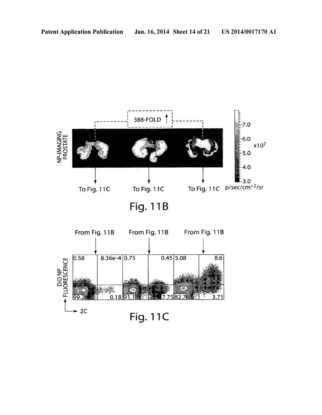 METHODS AND COMPOSITIONS FOR LOCALIZED AGENT DELIVERY - diagram, schematic, and image 15