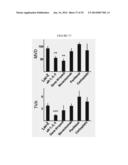 Transfection of Mesothelium Body Cavity Lining with Gene Agents Followed     by Chemotharapy to Treat Cancer of Organs in the Body Cavity diagram and image