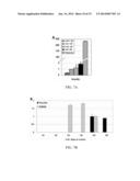 ISOLATION, EXPRESSION AND GUIDED DIFFERENTIATION OF SELF-RENEWING     PROGENITOR CELLS FROM ADULT HUMAN PANCREAS diagram and image