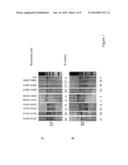 METHODS AND COMPOSITIONS FOR THE TREATMENT OF LYSOSOMAL STORAGE DISEASES diagram and image