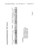 METHODS AND COMPOSITIONS FOR THE TREATMENT OF LYSOSOMAL STORAGE DISEASES diagram and image