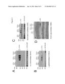 METHODS AND COMPOSITIONS FOR THE TREATMENT OF LYSOSOMAL STORAGE DISEASES diagram and image