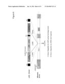 METHODS AND COMPOSITIONS FOR THE TREATMENT OF LYSOSOMAL STORAGE DISEASES diagram and image