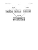 GENE SIGNATURES FOR USE WITH HEPATOCELLULAR CARCINOMA diagram and image