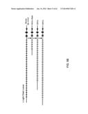 HUMANIZED LIGHT CHAIN MICE diagram and image