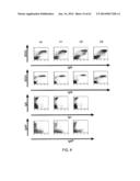 HUMANIZED LIGHT CHAIN MICE diagram and image