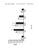 HUMANIZED LIGHT CHAIN MICE diagram and image