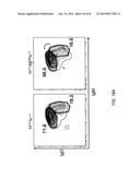 HUMANIZED LIGHT CHAIN MICE diagram and image