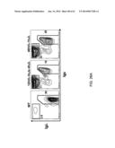 HUMANIZED LIGHT CHAIN MICE diagram and image