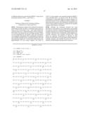 METHOD TO IDENTIFY A PATIENT WITH AN INCREASED LIKELIHOOD OF RESPONDING TO     AN ANTI-CANCER THERAPY diagram and image