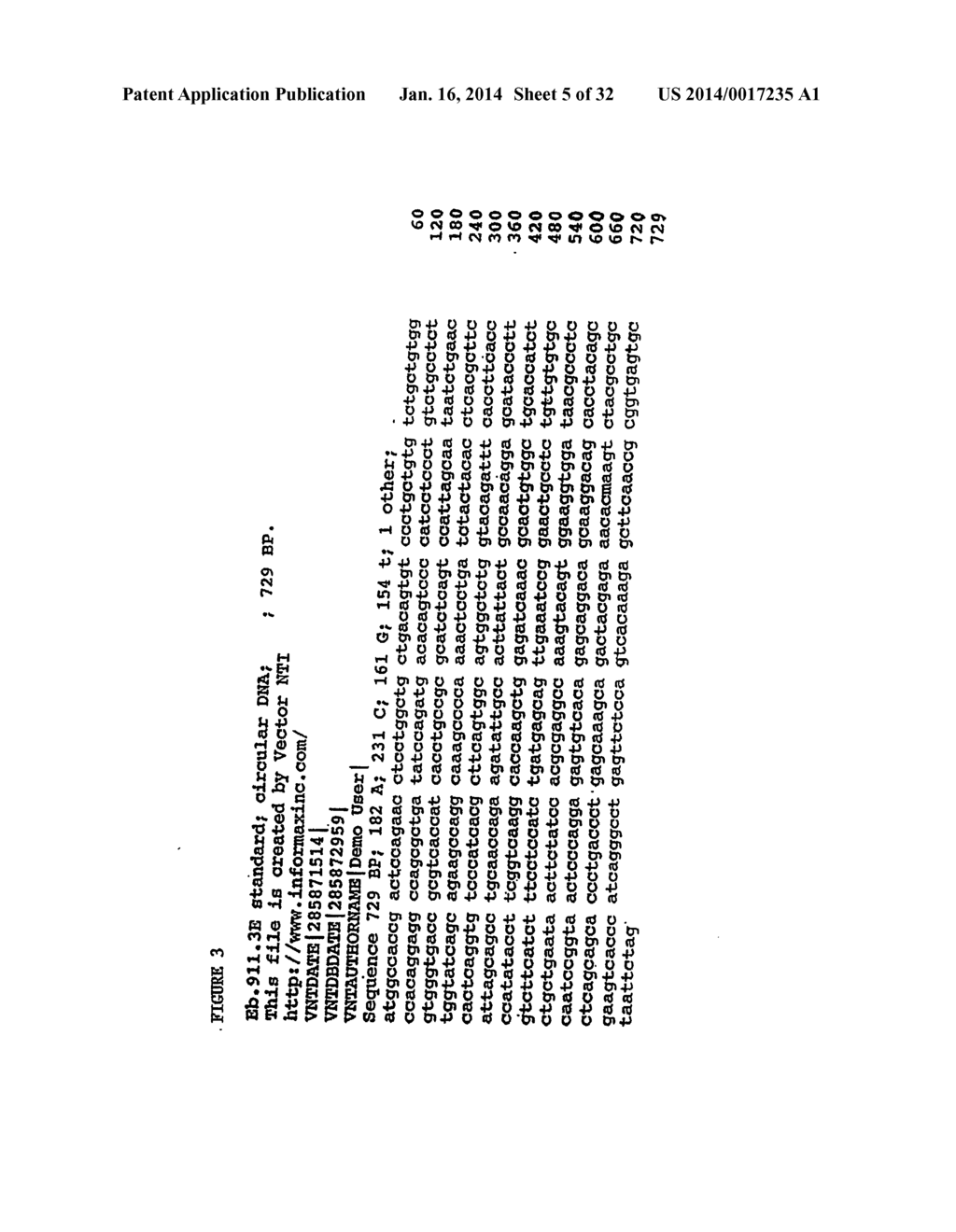 METHODS FOR TREATING OSTEOARTHRITIS PAIN BY ADMINISTERING A NERVE GROWTH     FACTOR ANTAGONIST AND COMPOSITIONS CONTAINING THE SAME - diagram, schematic, and image 06