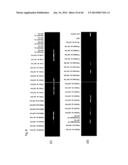 Identification of Tumor-Associated Antigens for Diagnosis and Therapy diagram and image