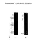 Identification of Tumor-Associated Antigens for Diagnosis and Therapy diagram and image