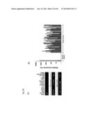 Identification of Tumor-Associated Antigens for Diagnosis and Therapy diagram and image