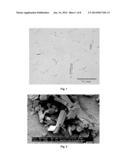 CRYSTALLINE ANTI-HUMAN IL-12 ANTIBODIES diagram and image