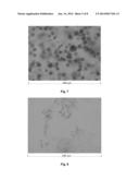 CRYSTALLINE ANTI-HUMAN IL-12 ANTIBODIES diagram and image