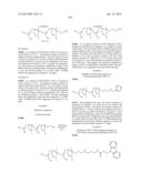 Terminally Modified Polymers and Conjugates Thereof diagram and image