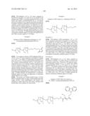 Terminally Modified Polymers and Conjugates Thereof diagram and image