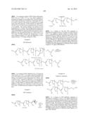 Terminally Modified Polymers and Conjugates Thereof diagram and image